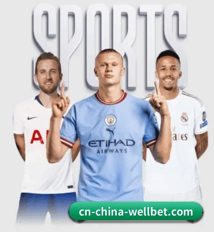 五个功能入口,赛程查询路径更短